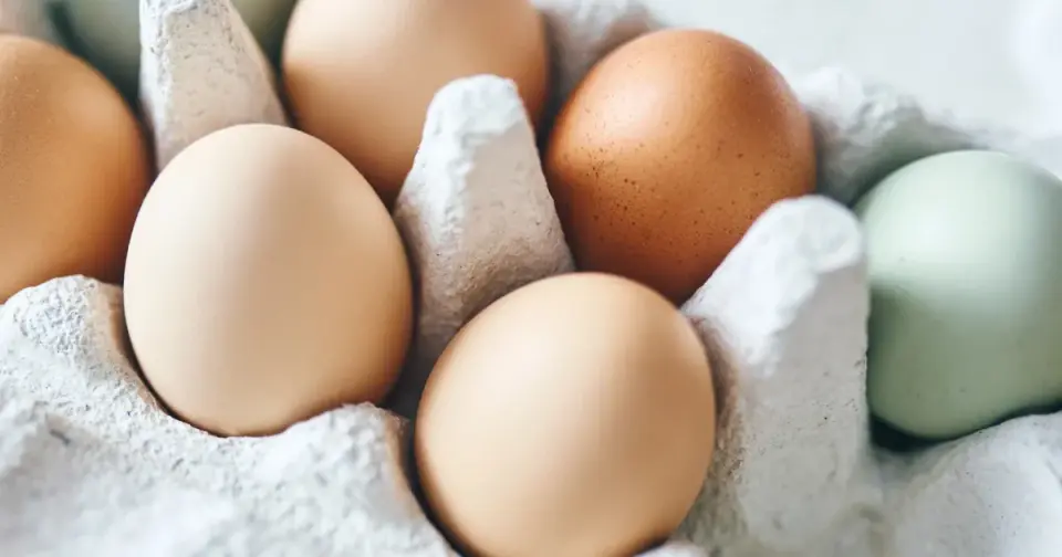 FDA Flags Class I Egg Recall After Salmonella Outbreak Ties to 19 Million Eggs