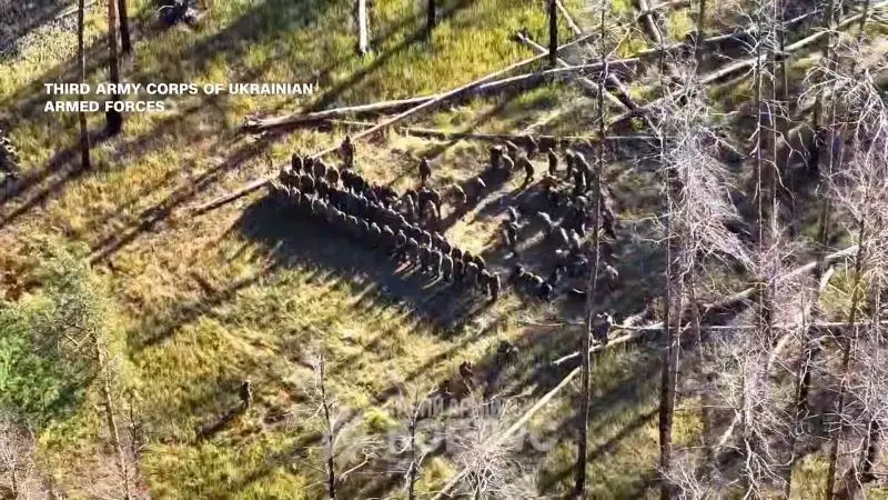 Ukraine's 'Vivaldi' Offensive Captures 250 Russian Troops via Drone and 'Trojan' Vehicle Tactics