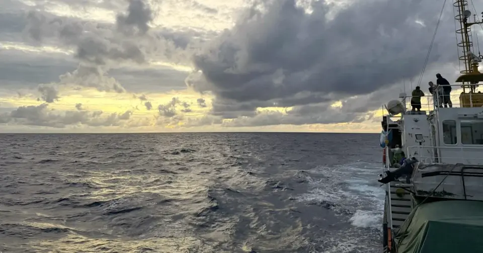 Nikumaroro Expedition Concludes: 'Taraia Object' Identified as Tree Debris, Not Earhart Wreckage