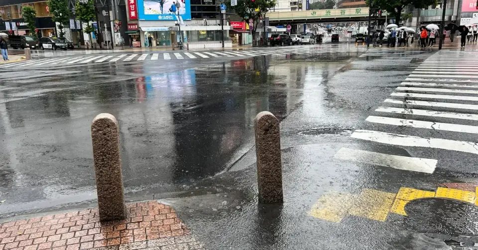 Shibuya in the Rain: Tourists Queue for Hachiko and a Retro Theater