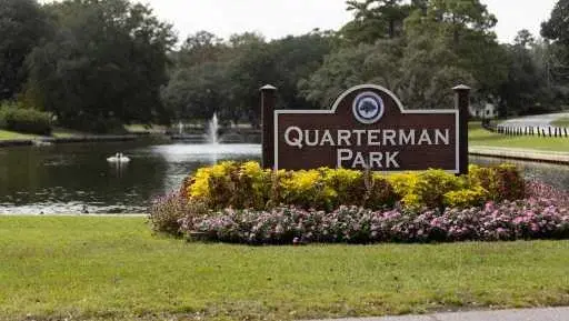 Avian Flu Suspected in Charleston County After Dead Waterfowl Found in Multiple Parks