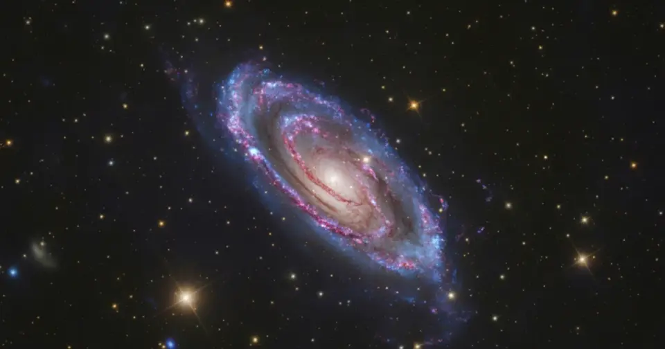Machine-learning sweep of Hubble data reveals 800+ new cosmic curiosities