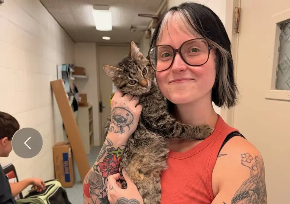 Cincinnati kitten Gelato finds permanent home after shelter builds wheelchair from toy cars