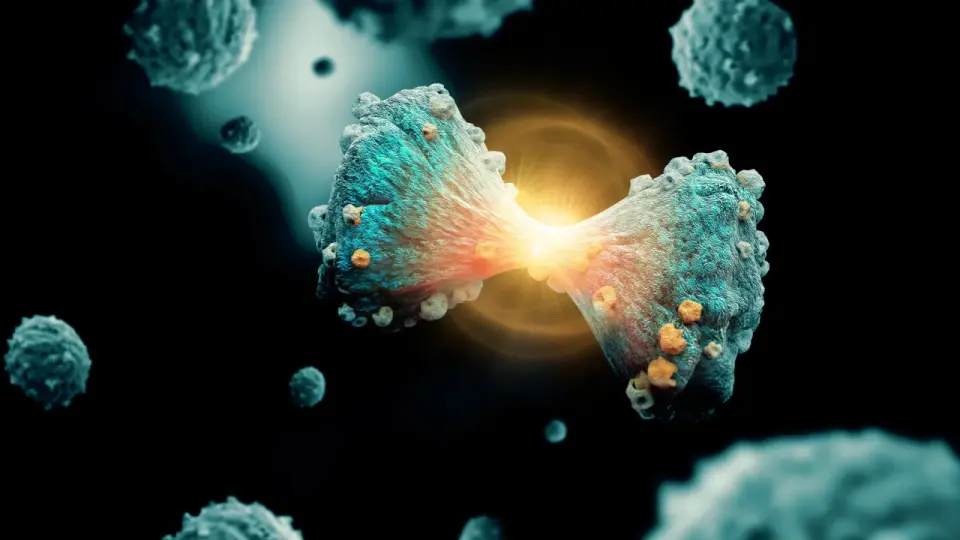 Single-Cell Analysis Reveals How Pancreatic Cancer Mutates to Evade Immune Attack