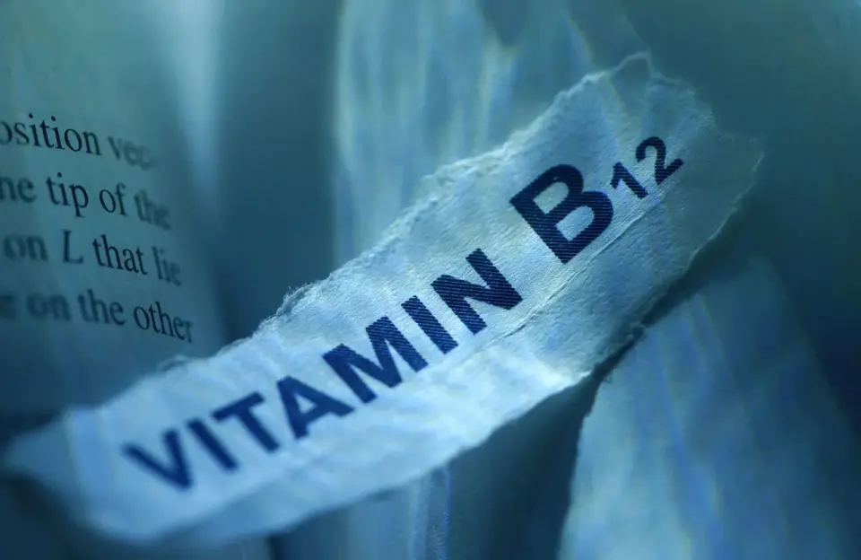 Engineered Spirulina Emerges as Sustainable Source of Bioactive Vitamin B12