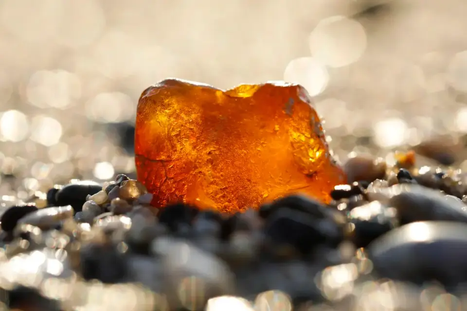 Romanian Woman’s Doorstop Revealed as $1 Million Amber Treasure