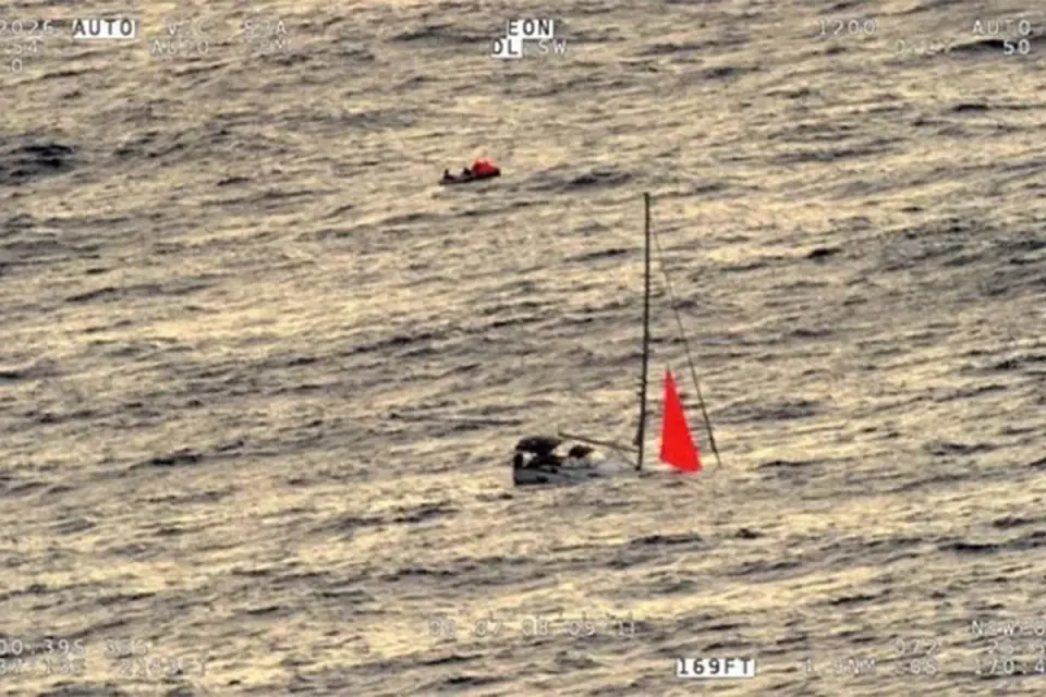Sperm Whale Pod Sinks Yacht Tai Tam in South Pacific; Crew Rescued After 18-Hour Ordeal