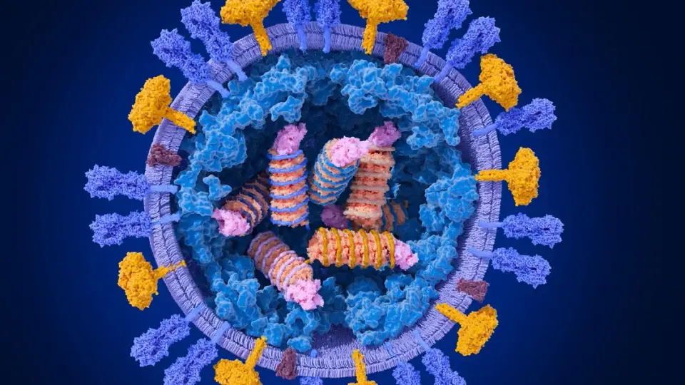 West Coast Flu Surge Defies Traditional Seasonal Patterns