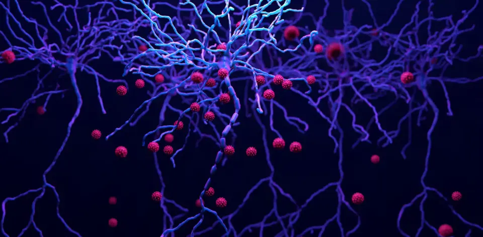 Brain HIV persists; integrin-blocking therapy backfires, boosting brain viral load