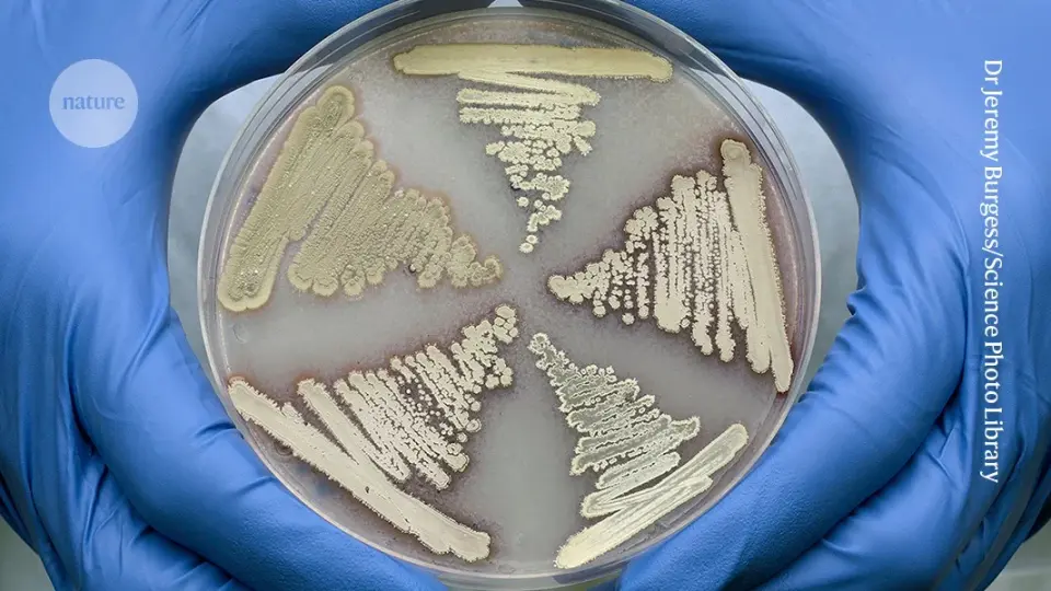 Soil megacluster yields multi-target antibiotics against biotin biosynthesis