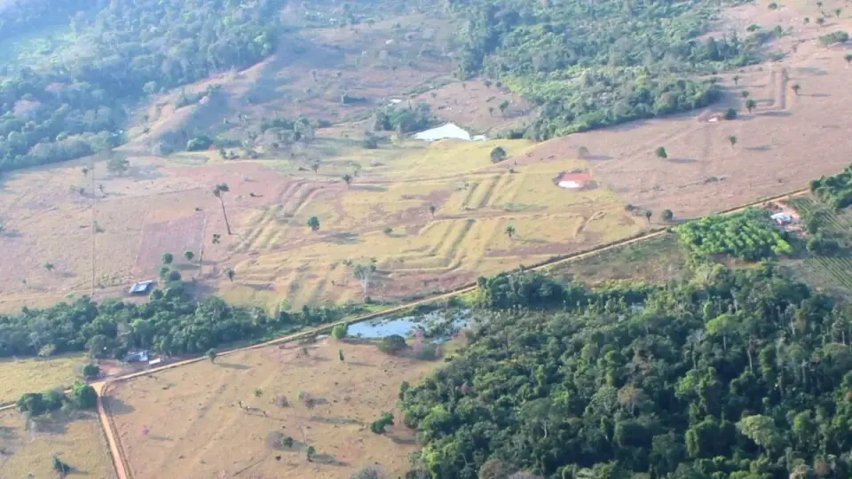 Airborne lasers reveal a vast lost Amazonian civilization of millions
