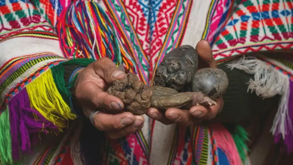 Andean Potatoes Linked to Rapid Evolution of Starch-Digesting Genes