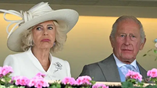 Camilla's 'Off-Putting' Critique of Charles Highlights Royal Tension Amid Spencer Memoir Fallout