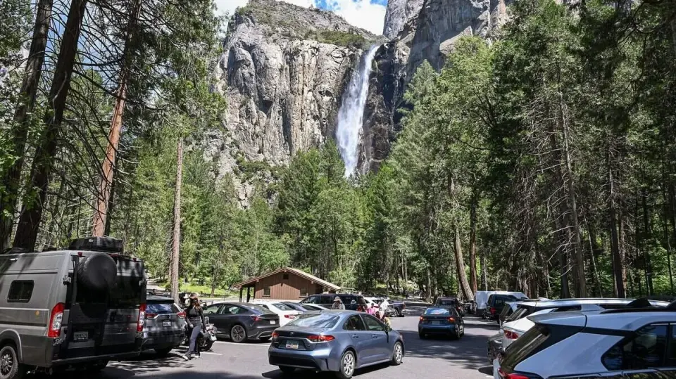 Yosemite issues rabies alert after bat found dead in Curry Village