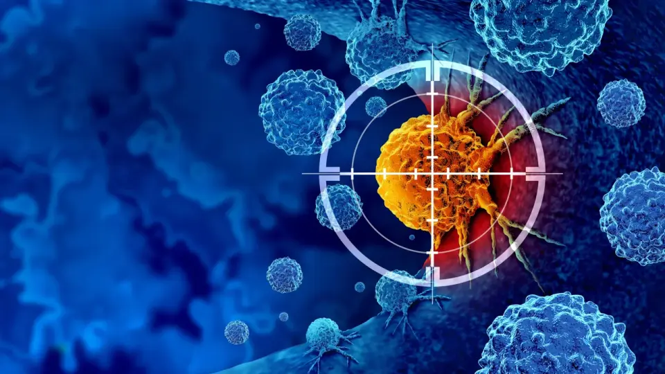 Cancer's Escape Trick May Backfire, Unlocking a New Immune Attack