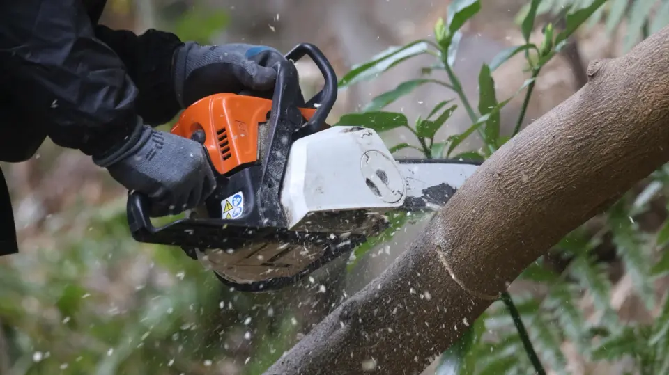 Oregon’s $12 Universal Chainsaw Sharpening Kit Offers Portable Safety for DIY Users