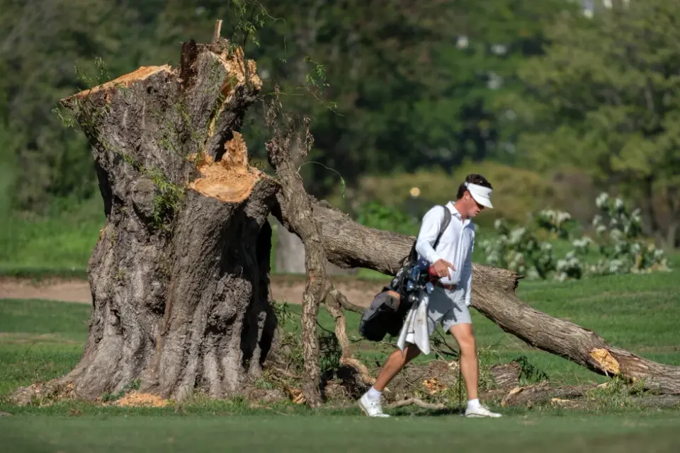 Judge Ana Reyes Halts East Potomac Tree Removal After Weekend Blitz