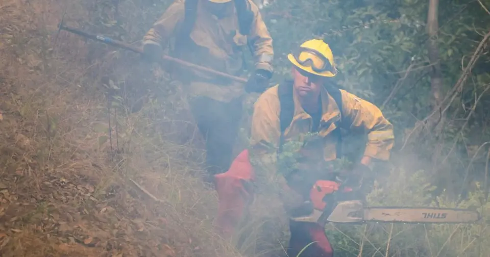 Officials warn unproven glutathione treatment for wildfire smoke exposure