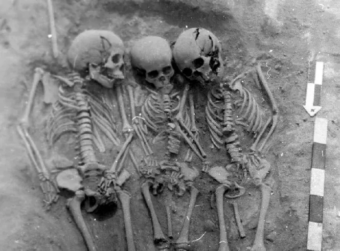 DNA from Ancient Siberian Graves Reveals Earliest Plague Outbreaks