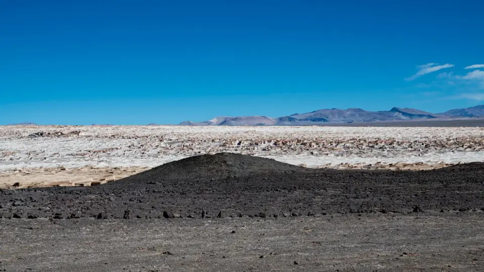 Ceres’s salty cryovolcano: Ahuna Mons rises from a frozen brine