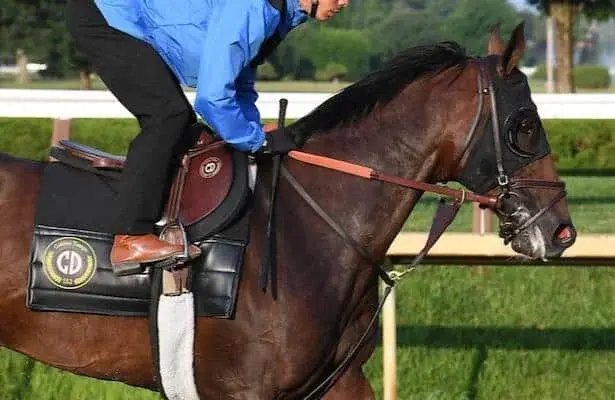 Golden Tempo Favored for Travers Despite Deep Closer Style Concerns