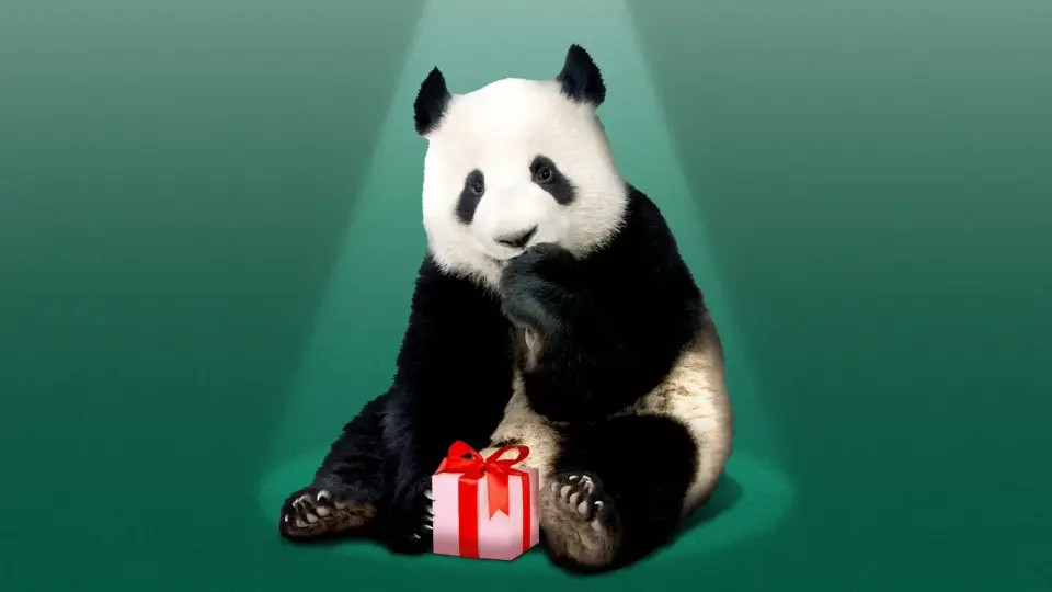 Xi Announces Panda Gift to Atlanta Zoo During White House Summit with Trump