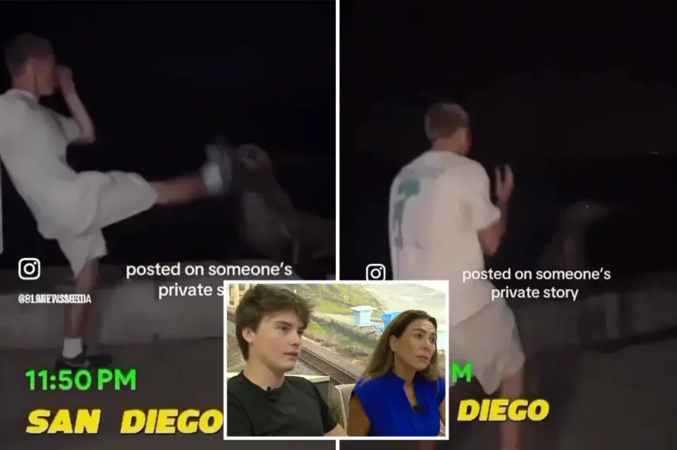 Online mob misidentifies teen in viral La Jolla sea lion video