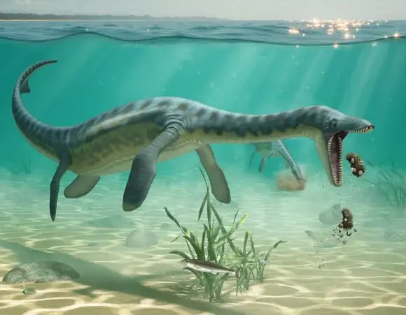 North Sea Drill Cores Reveal Plesiosaur Vomit and Feeding Habits