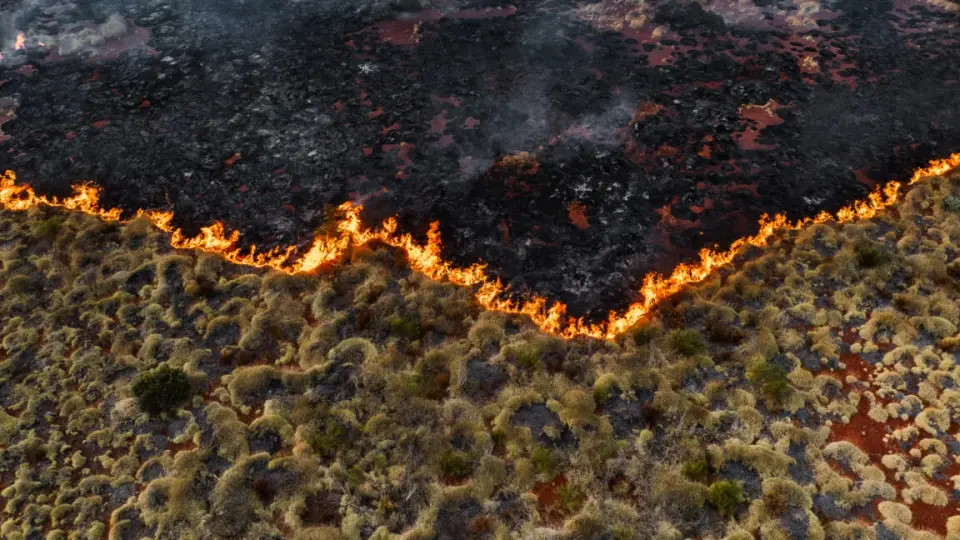 UNEP Concedes 1.5°C Goal Is Lost, Sets New Path for 1.8°C Peak