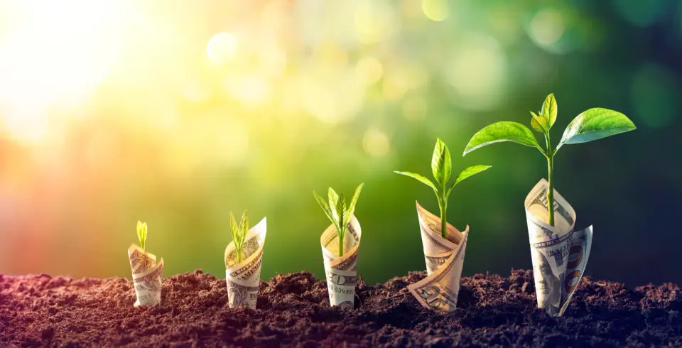 Infinimmune lands $75M Series A to push eczema antibodies forward