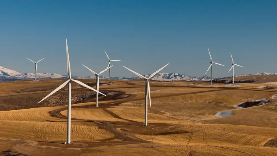 Wind Energy Wins a Round as DOJ Drops Trump’s Leasing Freeze