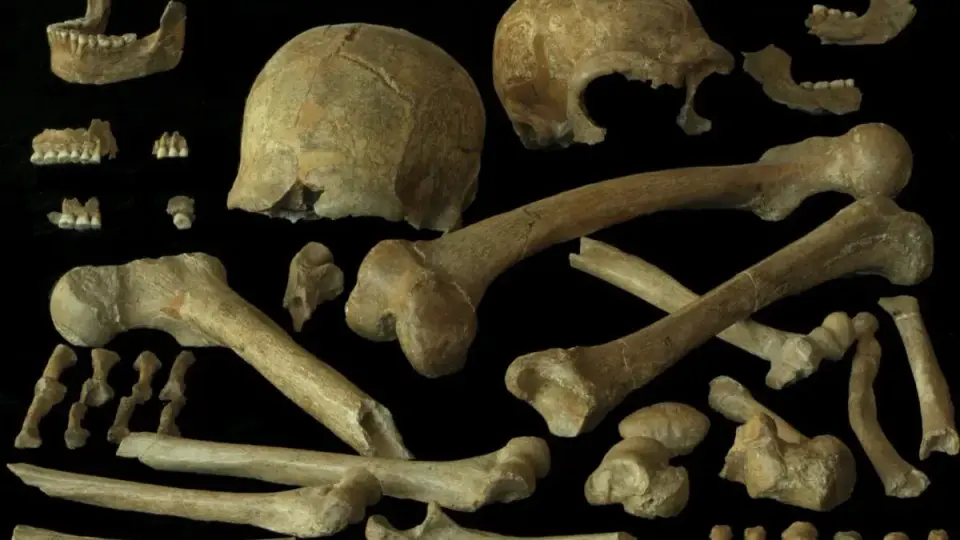 Diverse, Connected Neanderthals Challenge the Extinction Narrative