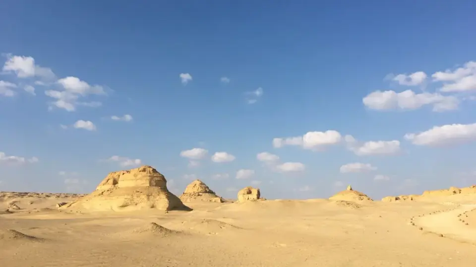 Desert Shark Discoveries in Egypt Highlight a Lost Inland Sea