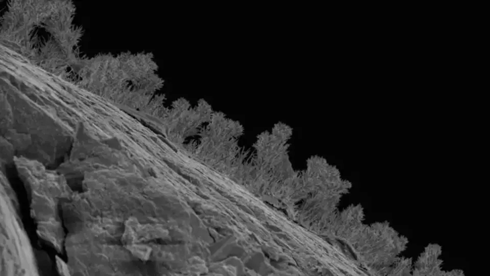 Deep Beneath the Great Lakes, a Hidden World of Fungi and Tardigrades Emerges