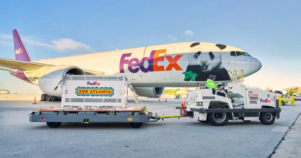 China Sends Pandas Ping Ping and Fu Shuang to Zoo Atlanta in Diplomatic Gesture