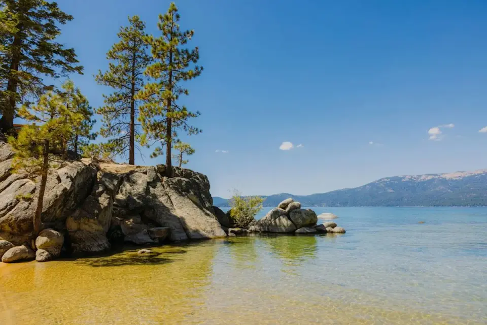 Reno instructor suffers dozens of stitches after unusual Lake Tahoe otter attack