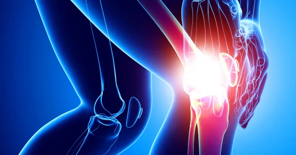 Stanford Regenerates Knee Cartilage, Paving Way for Arthritis Treatment