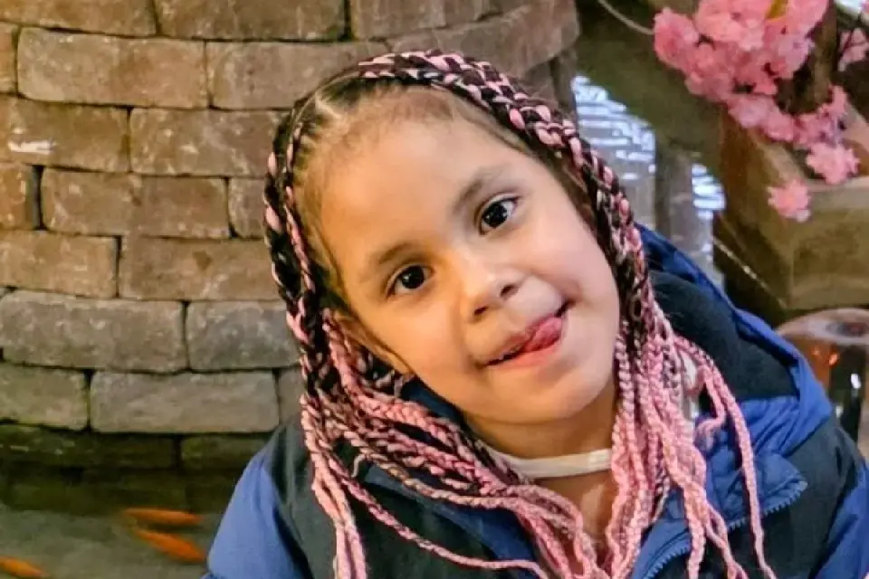 Chicago Woman Charged in Fatal Stabbing of 7-Year-Old in Chatham