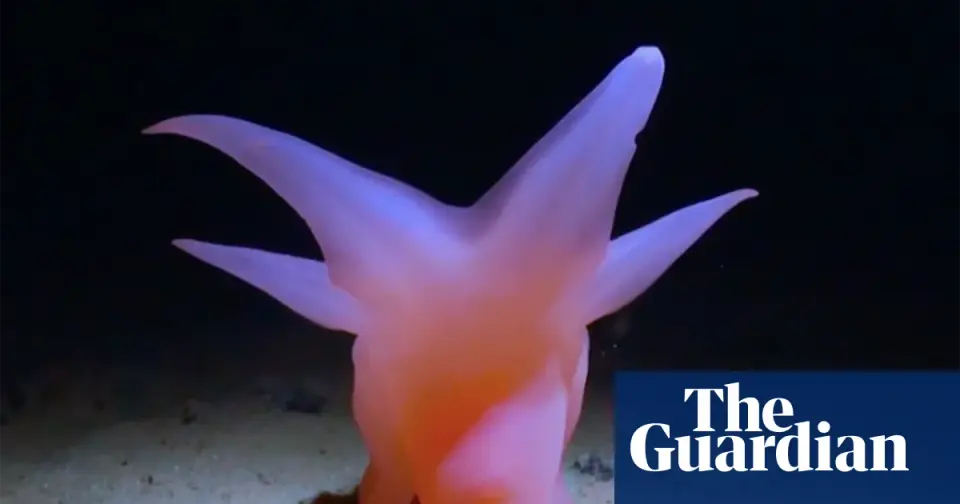 UK cinemas to screen 'How Deep Is Your Love' documentary on Pacific deep-sea mining