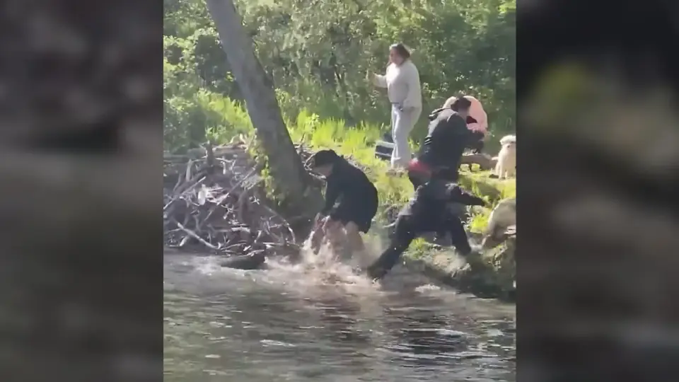 Rabies-confirmed beaver attack in New Jersey prompts medical precautions