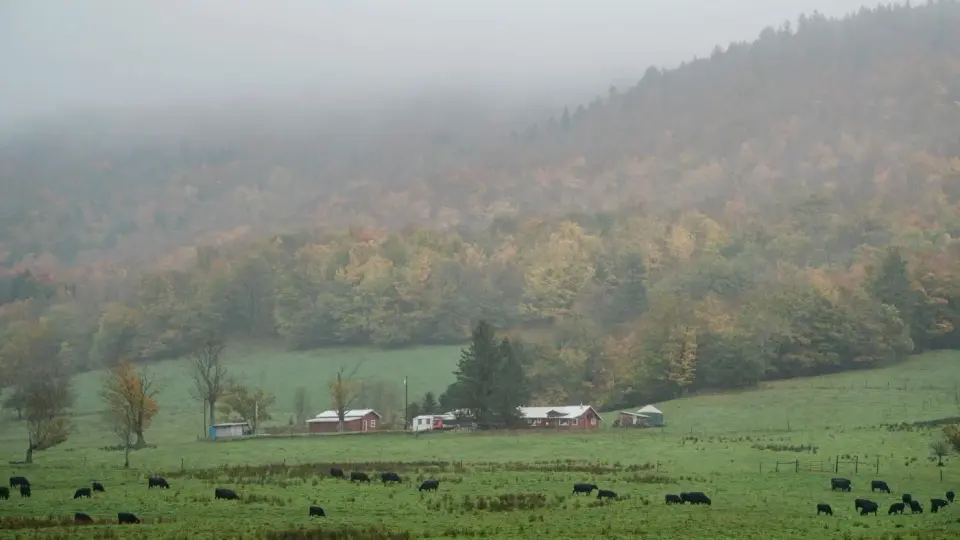 West Virginia's Data Center Boom Clashes with Local Control and Environmental History