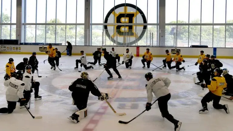 Bruins open training camp mixing youth with veteran depth