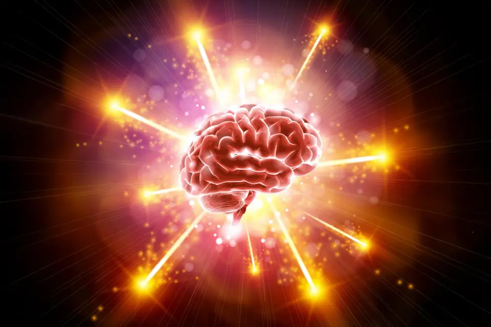 Vitamin C Linked to Preserved Brain Structure in Aging, Study Finds