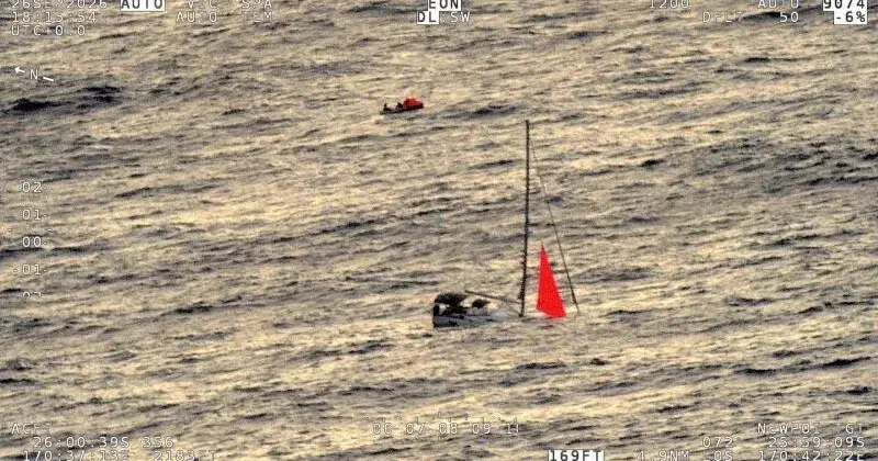 Sperm Whale Strike Sinks Yacht Tai Tam in South Pacific; Four Sailors Rescued by Container Ship