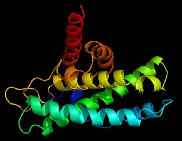 Protein restriction could improve health and extend lifespan, review finds