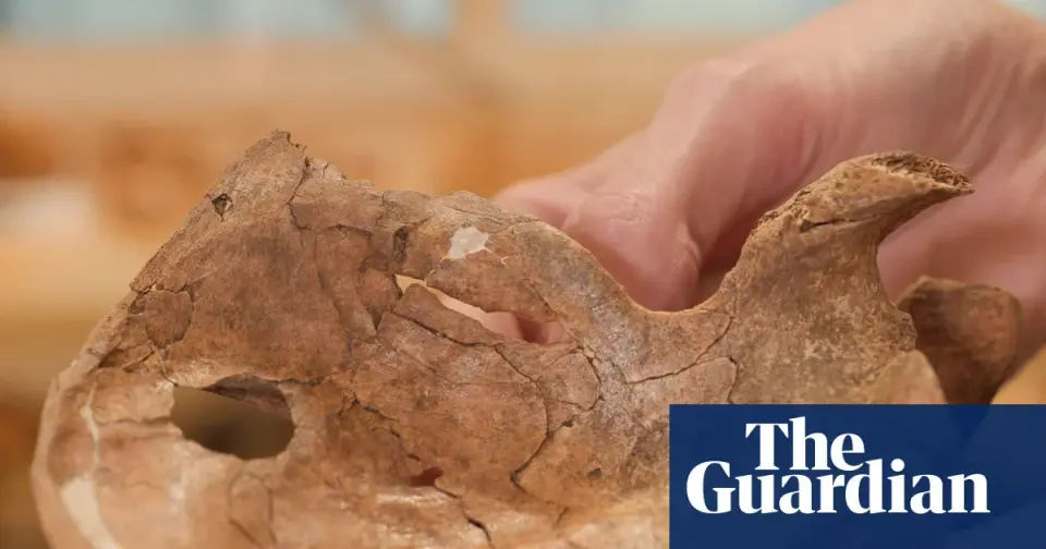 Spear wound in 75,000-year-old Neanderthal bone may be oldest evidence of lethal violence