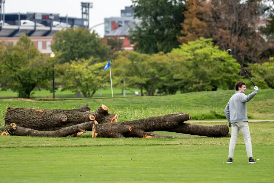 Judge halts East Potomac tree removal after NPS cuts 430 trees despite court notice