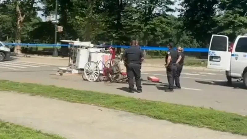 City leaders push to end Central Park horse carriages after teen’s death