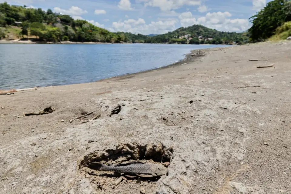 USDA Declares Drought Disaster for Puerto Rico and USVI Amid Water Crisis