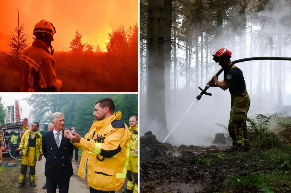 Belgian Wildfire Edges Toward Germany as Europe Battles Heat and Blazes